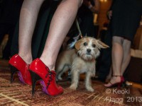 BlackTie&Tails©}KeokiFlagg00620A