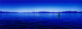 Maestro on Lake Tahoe, Linhof 3:1 aspect ratio wide panoramic