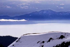 Lone Cloud Man and Dog